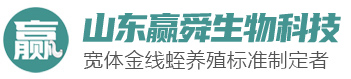 350vip浦京集团