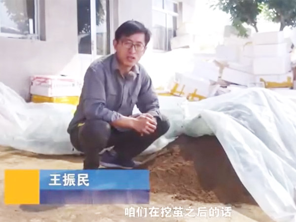 视频展示