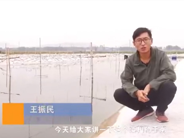 视频展示