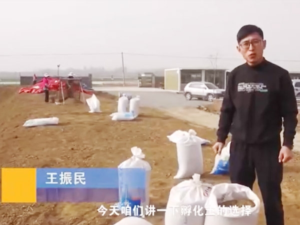 卵化土的选择