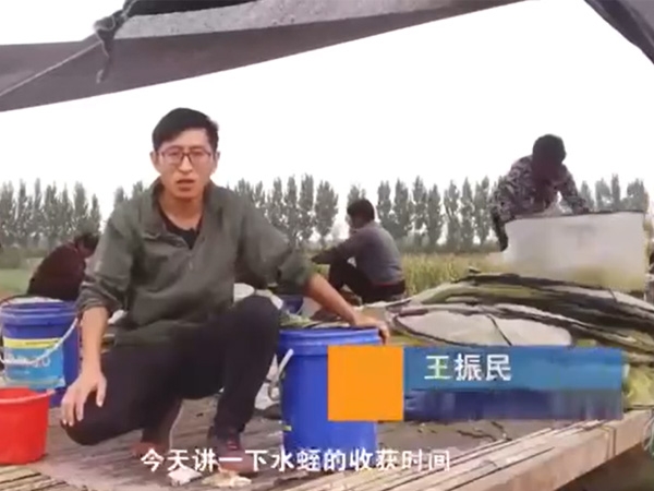 350vip浦京集团收成功夫